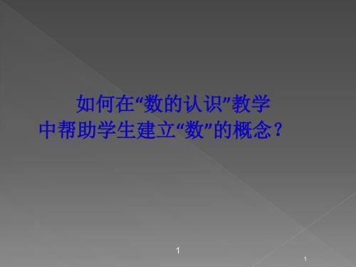 数认识讲座ppt课件.ppt