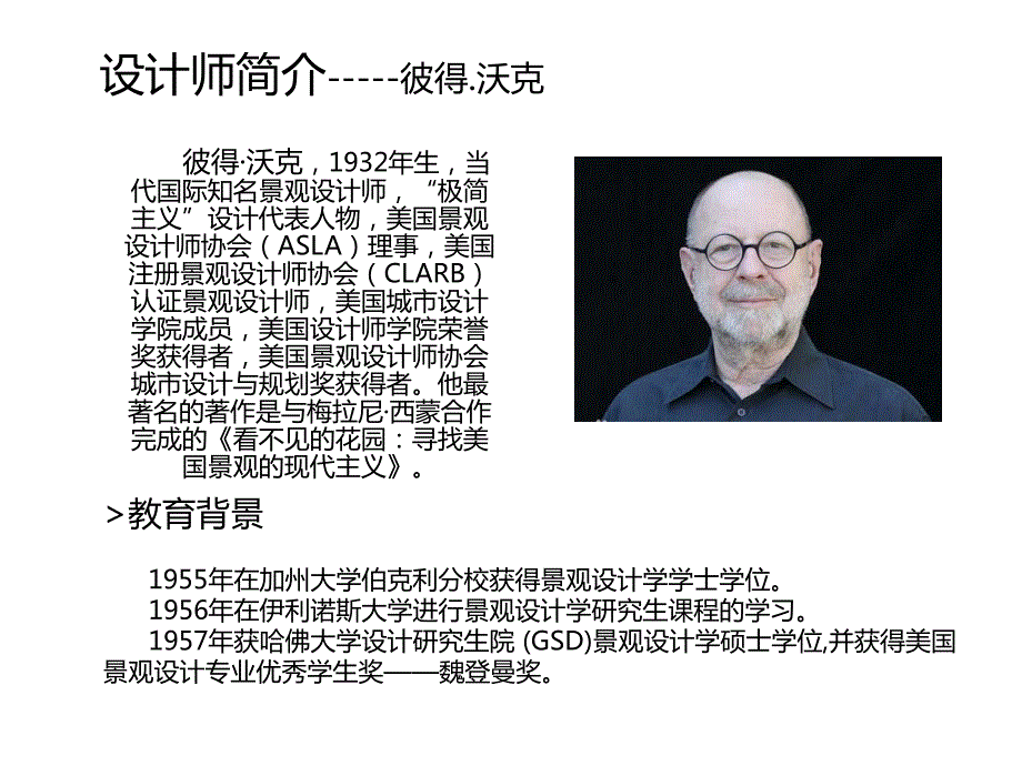 杰米森广场案例分析.ppt_第2页