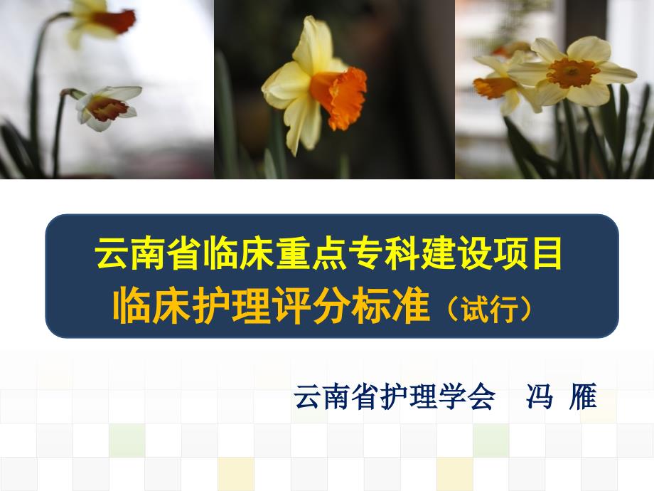 护理课件云南省临床重点专科建设项目临床护理评分标准.ppt_第1页