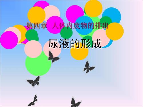尿液形成的过程小课件.ppt