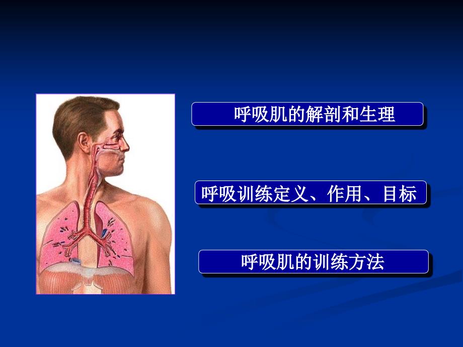 心肺功能康复训练.ppt_第2页