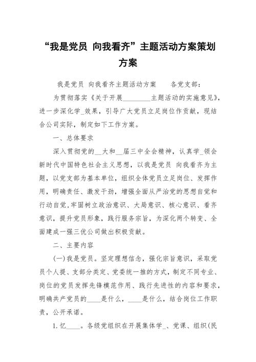 我是党员向我看齐主题活动方案策划方案.docx