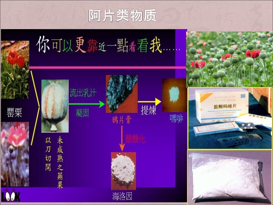 毒品种类ppt课件.ppt_第3页