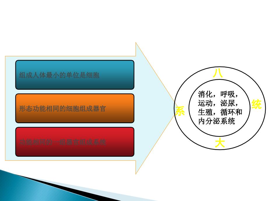慢性病常见疾病知识ppt.ppt_第3页