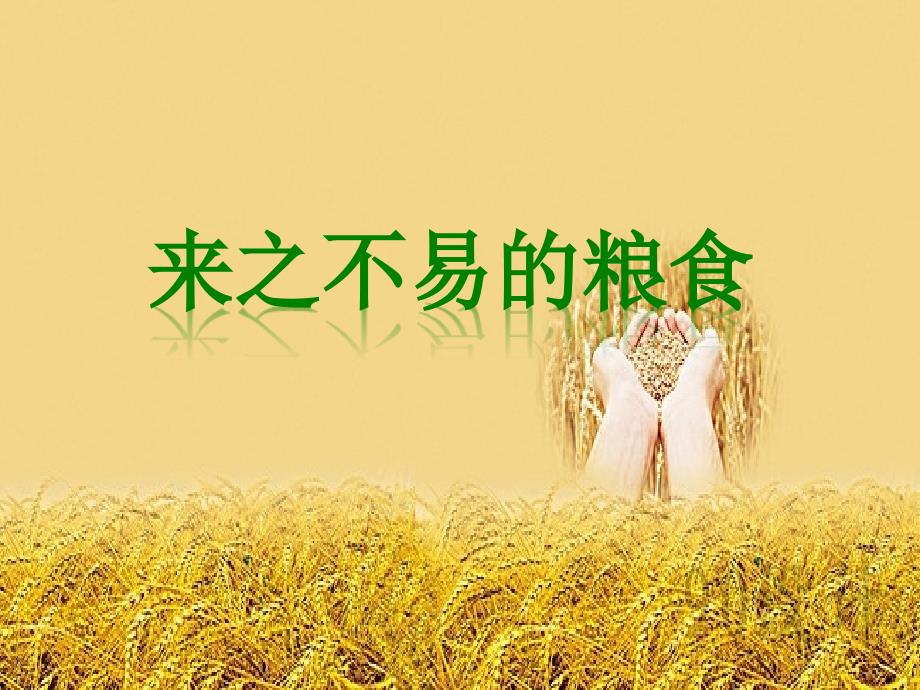 小学三年级上册综合实践活动.来之不易的粮食31张ppt.pptx_第2页