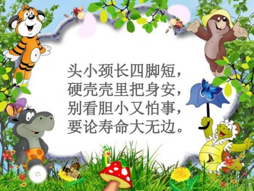 我喜欢的小动物作文课件.ppt