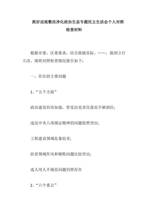 抓好巡视整改净化政治生态专题民主生活会个人对照检查材料.docx