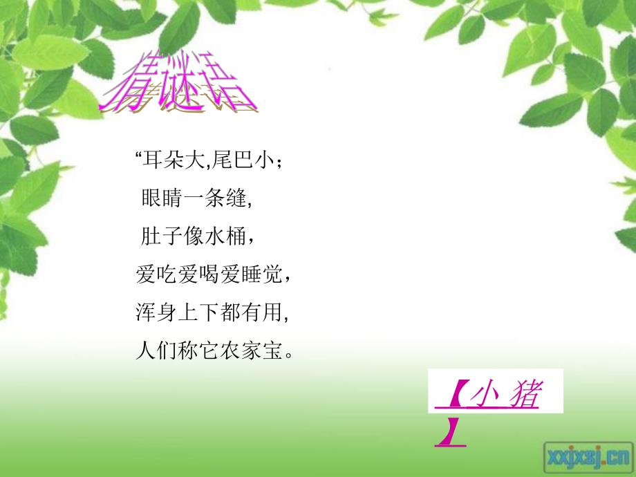 小猪唏哩呼噜PPT课件.ppt_第2页