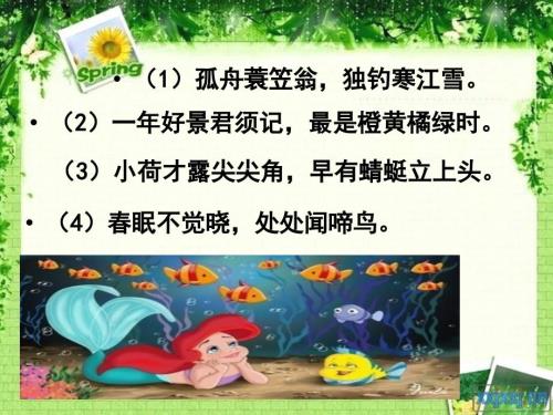 天作文课件.ppt