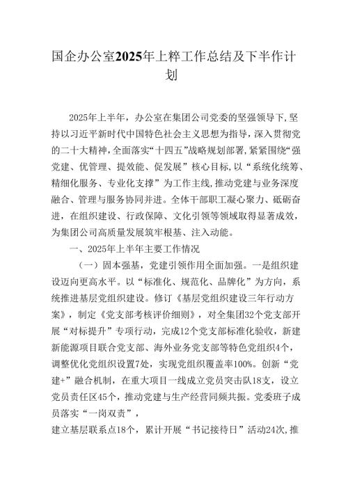 国企办公室2025年上半年工作总结及下半年工作计划.docx