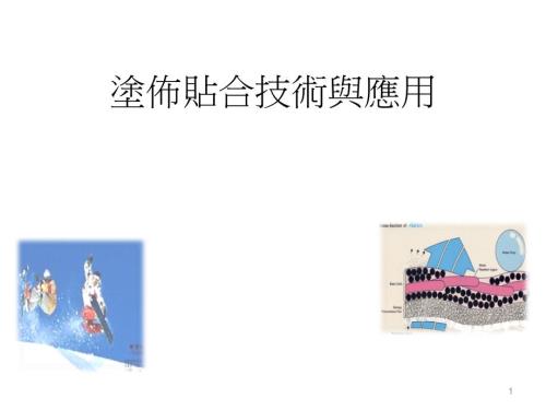 涂布贴合技术与应用.ppt