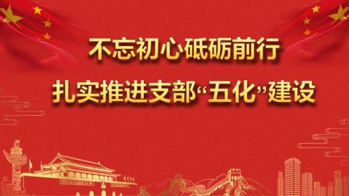 支部五化建设PPT课件.pptx