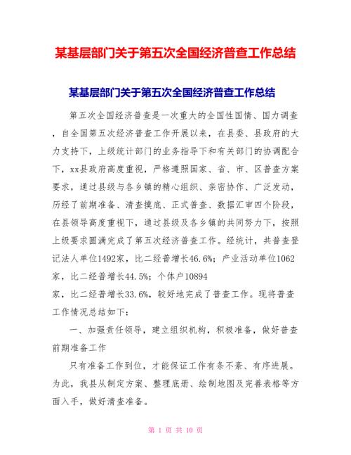 某基层部门关于第五次全国经济普查工作总结.doc