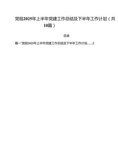 党组2025年上半年党建工作总结及下半年工作计划10篇（详细版）.docx