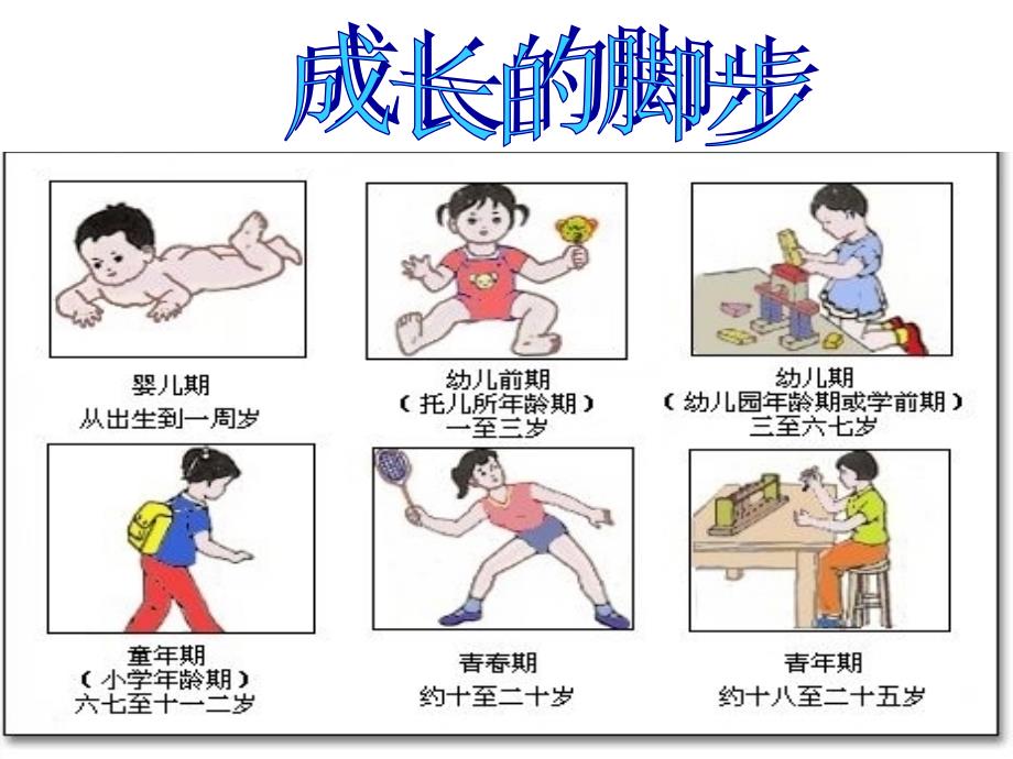 小学六年级青青期教育.ppt_第3页