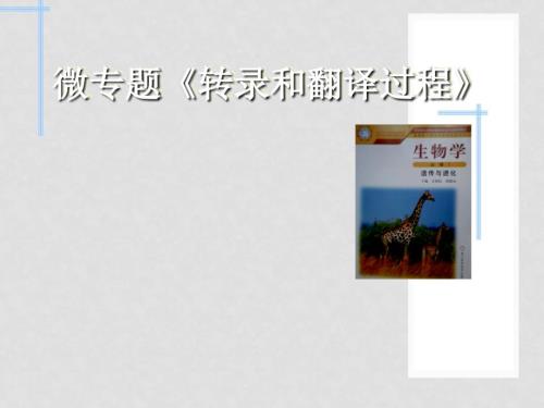 浙江省嘉兴市高三生物微专题转录和翻译过程复习公开课课件.ppt