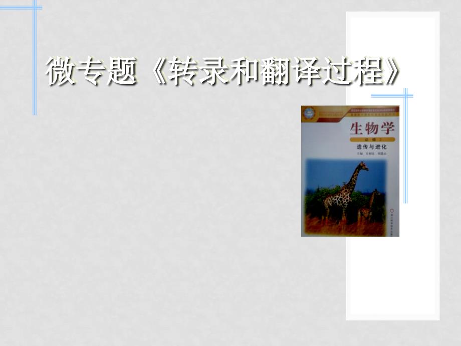 浙江省嘉兴市高三生物微专题转录和翻译过程复习公开课课件.ppt_第1页