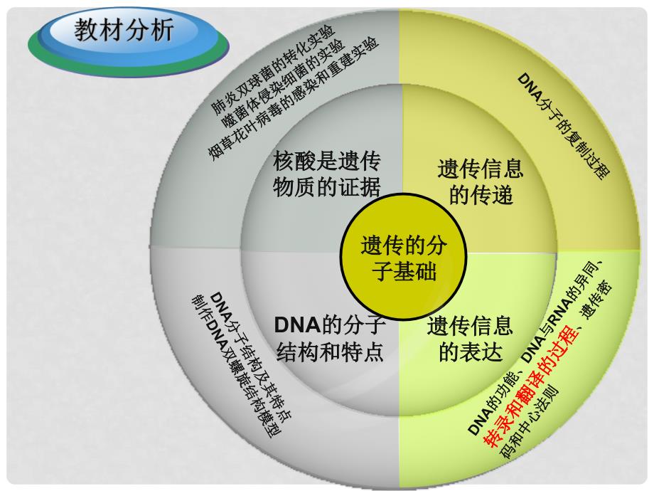 浙江省嘉兴市高三生物微专题转录和翻译过程复习公开课课件.ppt_第3页