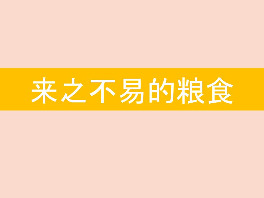 小学三年级上册综合实践活动.来之不易的粮食17张ppt.pptx_第2页