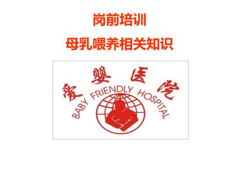 母乳喂养岗前培训PPT课件.ppt