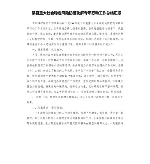 某县重大社会稳定风险防范化解专项行动工作总结汇报.docx
