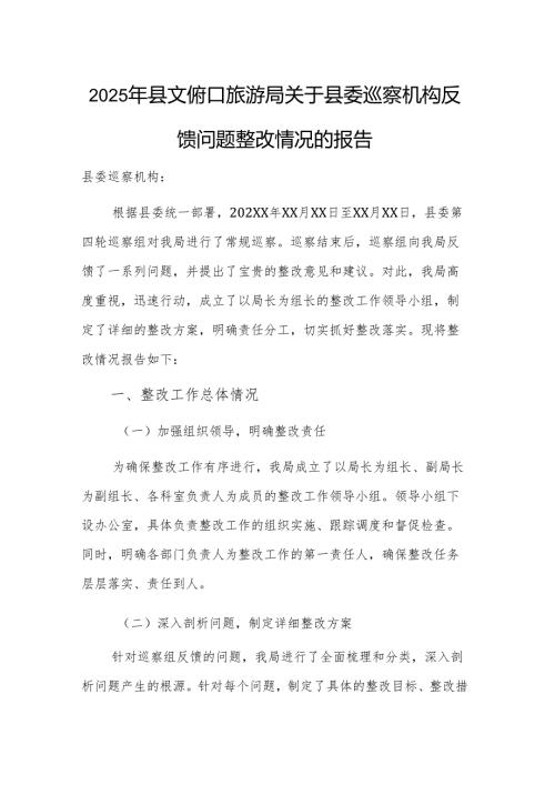 2025年文化和旅游主管部门巡察机构反馈问题整改情况的报告.docx