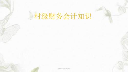 村级会计基础知识ppt课件.ppt