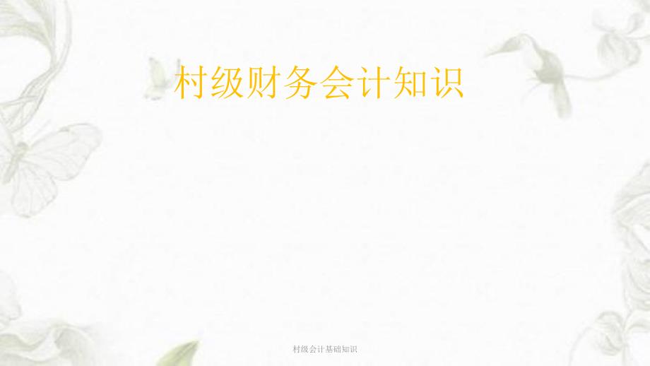 村级会计基础知识ppt课件.ppt_第1页