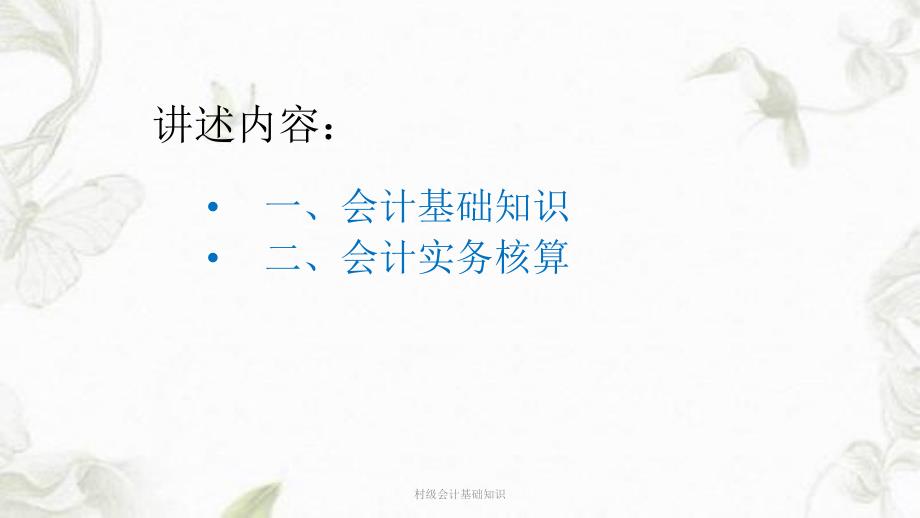 村级会计基础知识ppt课件.ppt_第2页