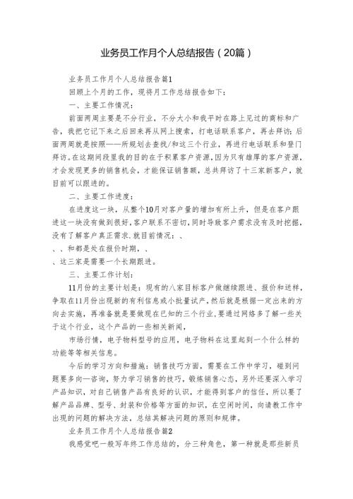 业务员工作月个人总结报告（20篇）.docx