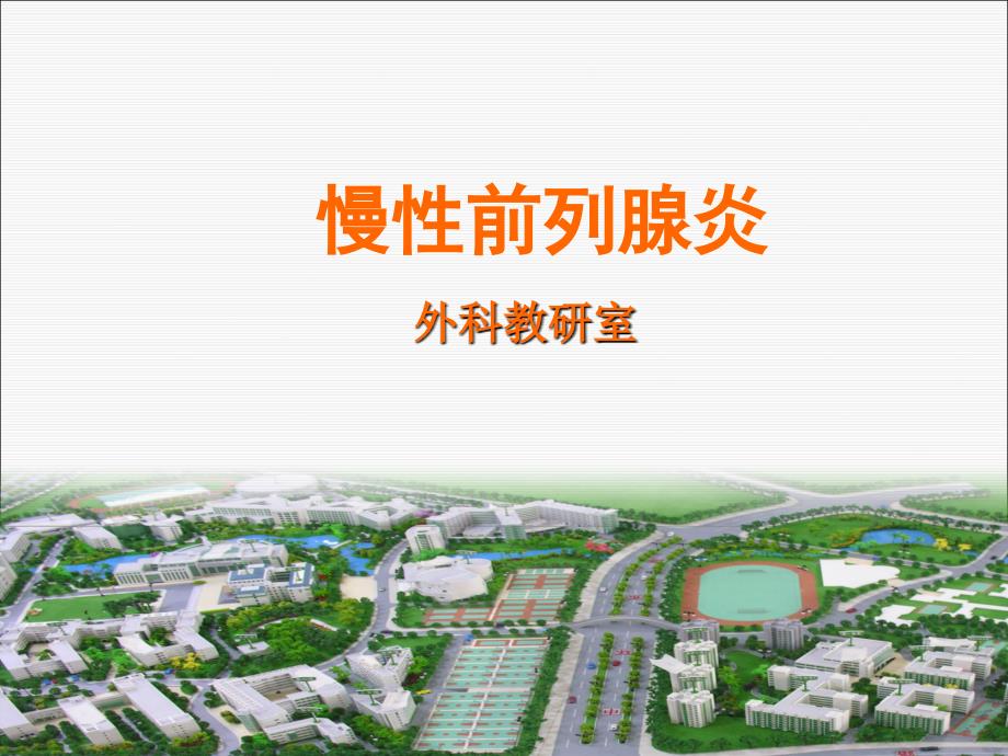 慢性前列腺炎PPT课件.ppt_第1页