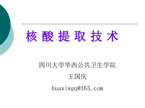 核酸提取技术CDC培训.ppt