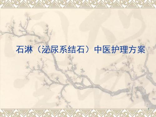 推荐精选石淋泌尿系结石中医护理方案.ppt