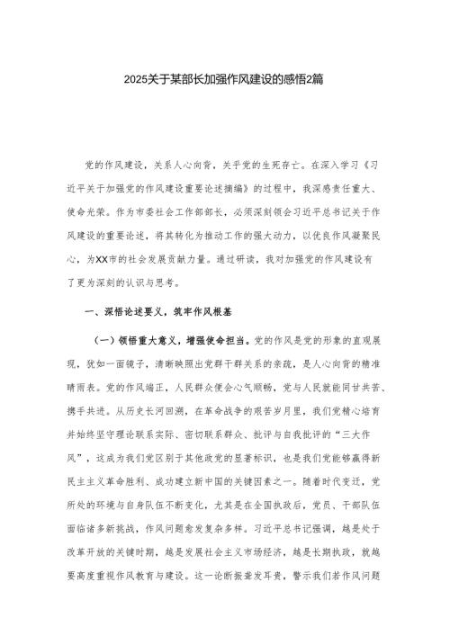 2025关于某部长加强作风建设的感悟2篇.docx