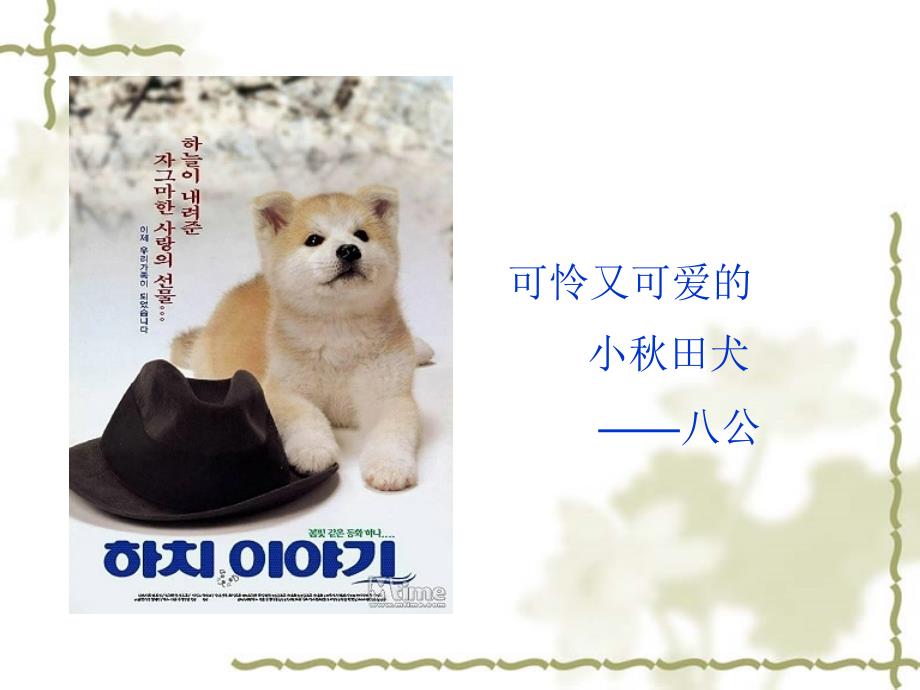 忠犬八公的故事PPT课件.ppt_第2页