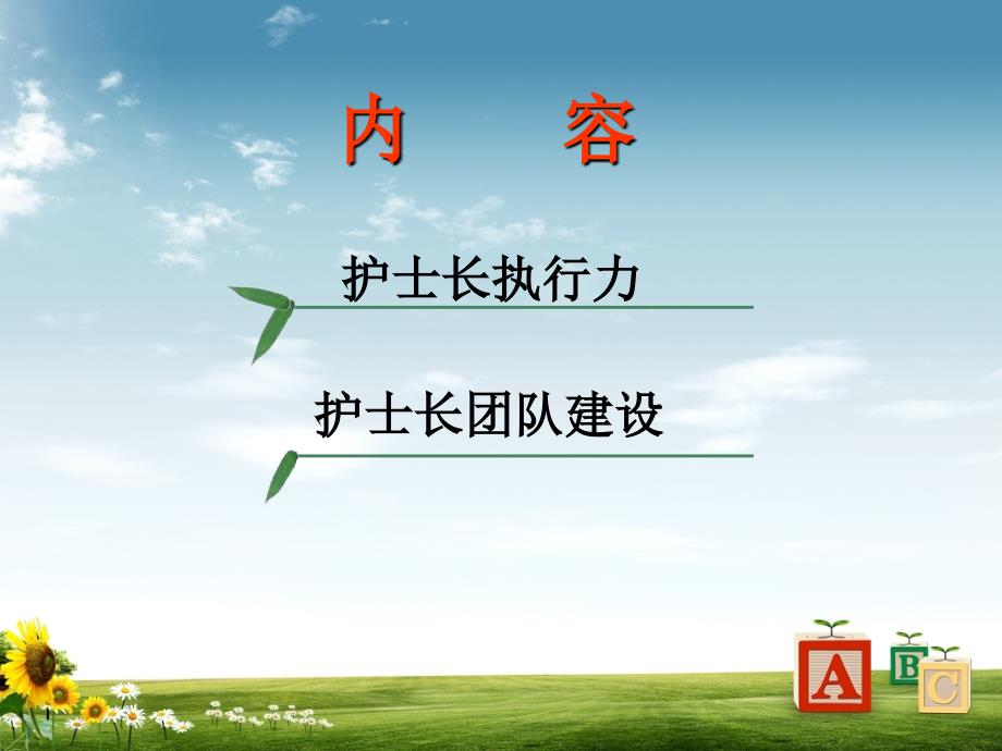 护士长的执行力.ppt_第2页