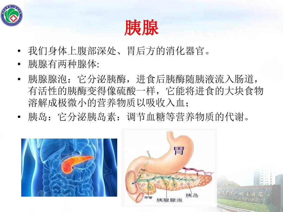 急性胰腺炎健康教育.ppt_第3页