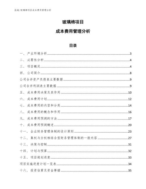 玻璃棉项目成本费用管理分析.docx