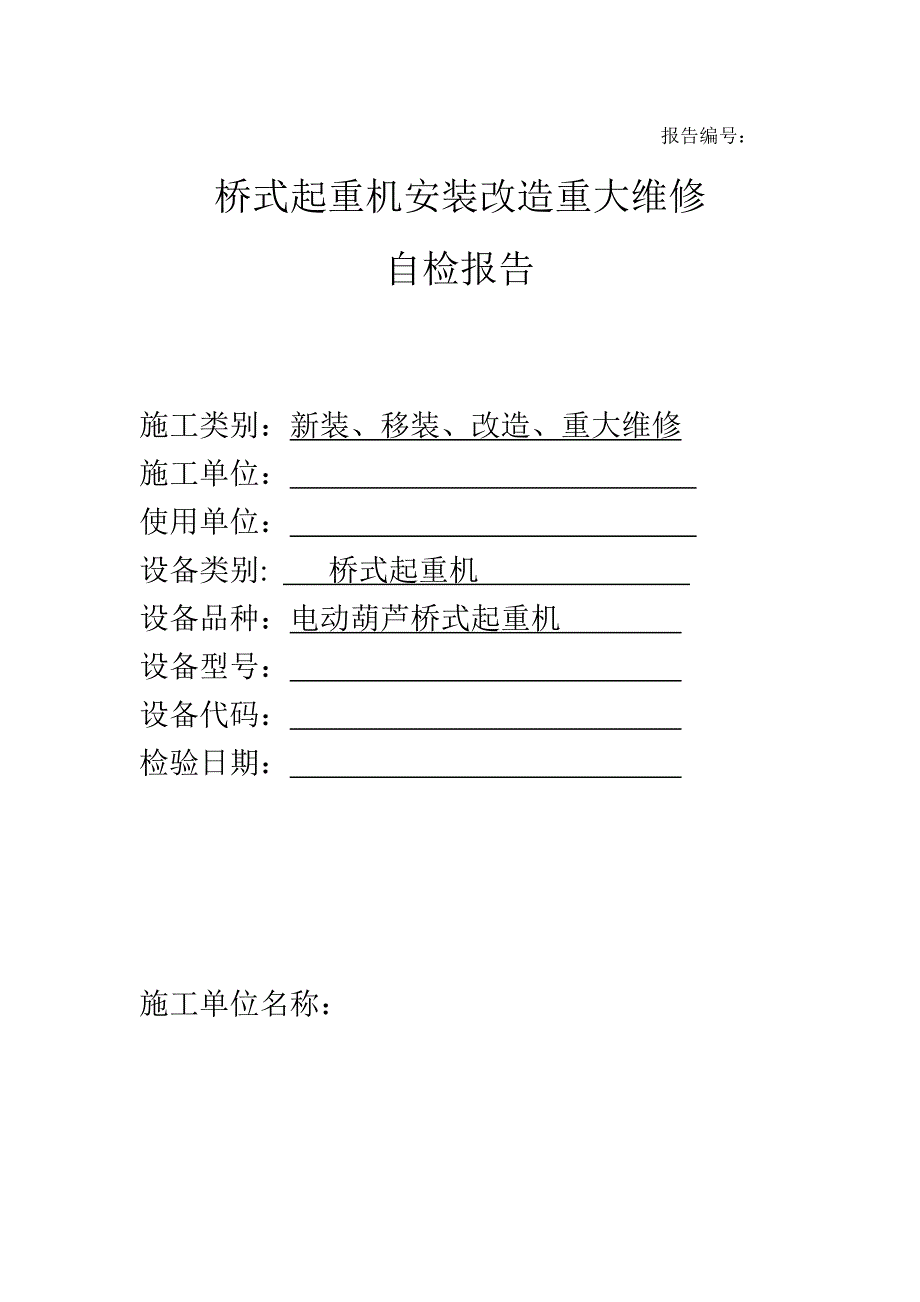 桥式起重机自检报告.doc_第1页