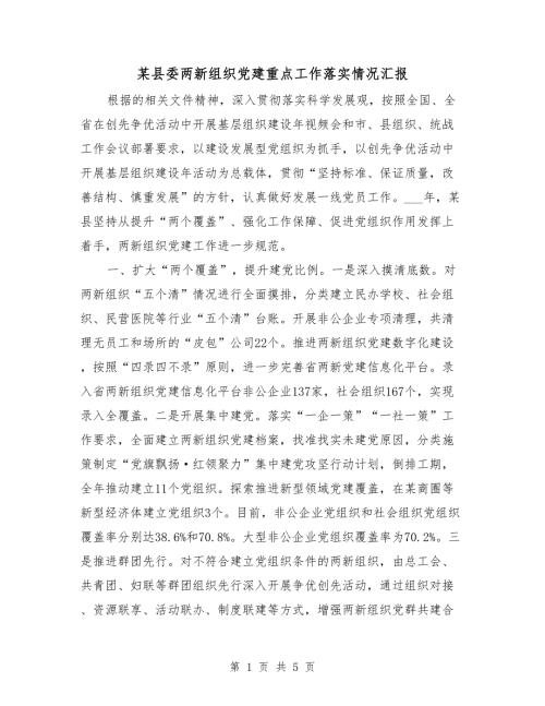 某县委两新组织党建重点工作落实情况汇报.doc