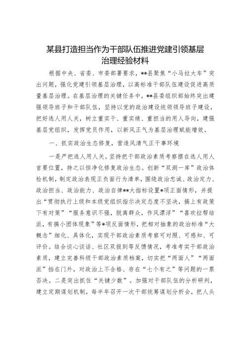 某县打造担当作为干部队伍推进党建引领基层治理经验材料.docx