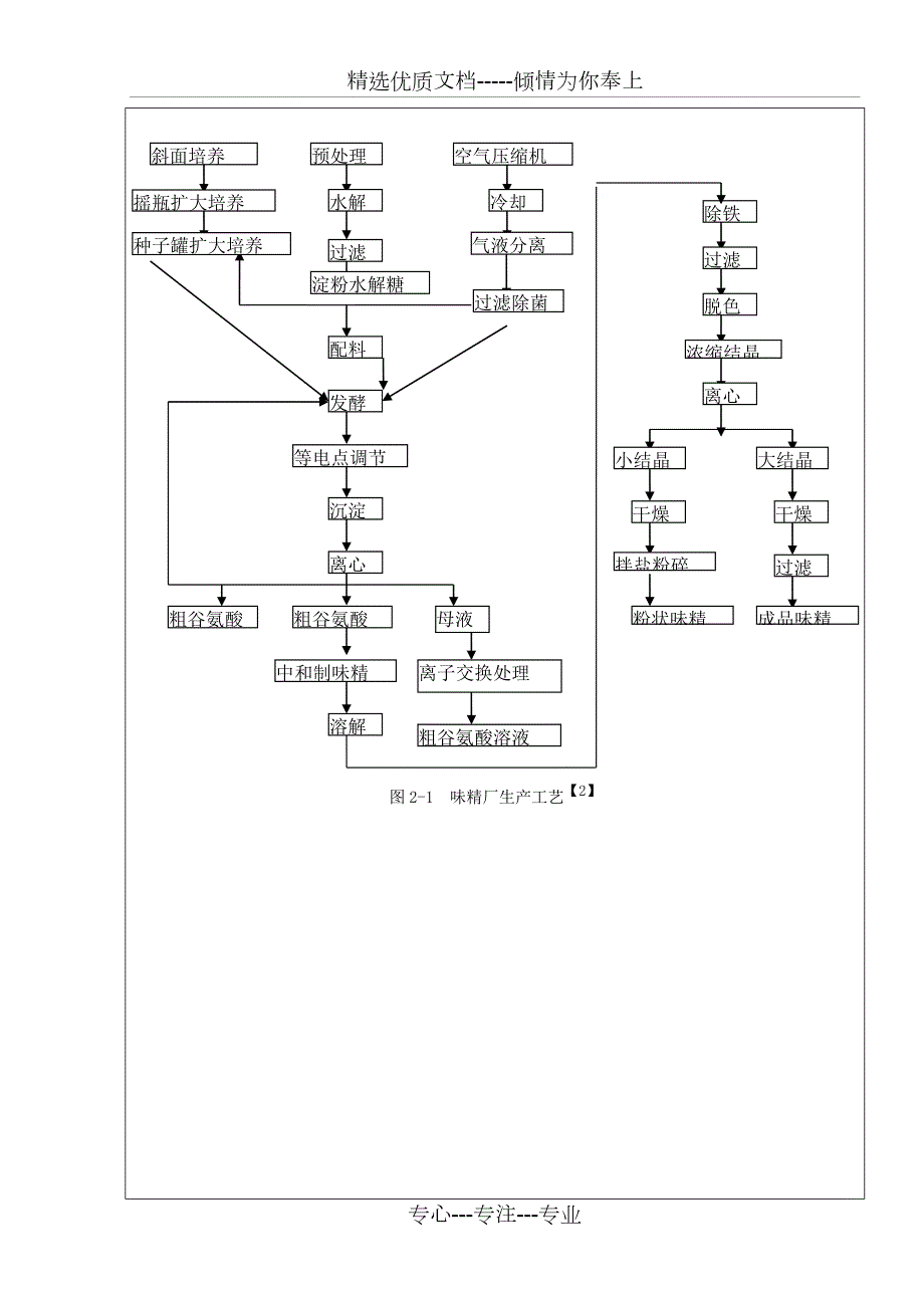 年产5万吨味精厂生产工艺设计共29页.doc_第2页