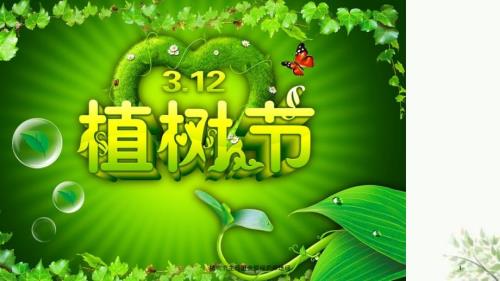 植树节主题班会爱绿护绿培绿课件.ppt