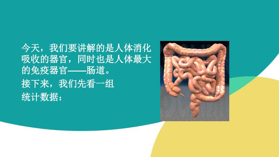常见肠道疾病课件ppt课件.pptx_第3页