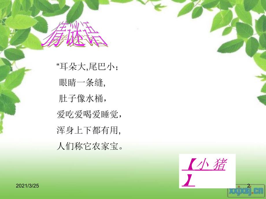 小猪唏哩呼噜阅读指导PPT课件.ppt_第2页