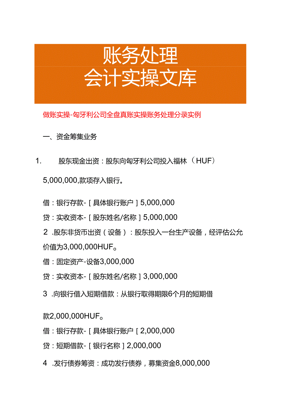 做账实操匈牙利公司全盘真账实操账务处理分录实例.docx_第1页