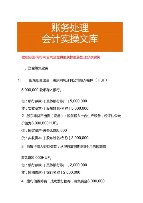 做账实操匈牙利公司全盘真账实操账务处理分录实例.docx