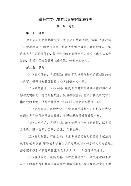 市文化旅游公司绩效管理办法.doc