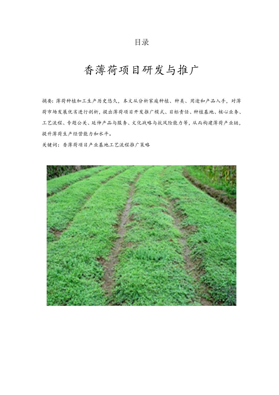 香薄荷项目研究开发与推广项目学术科技作品设计分析.docx_第1页
