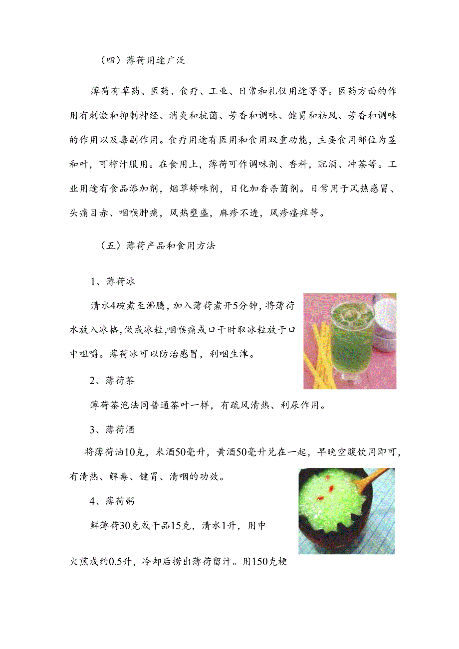香薄荷项目研究开发与推广项目学术科技作品设计分析.docx_第3页